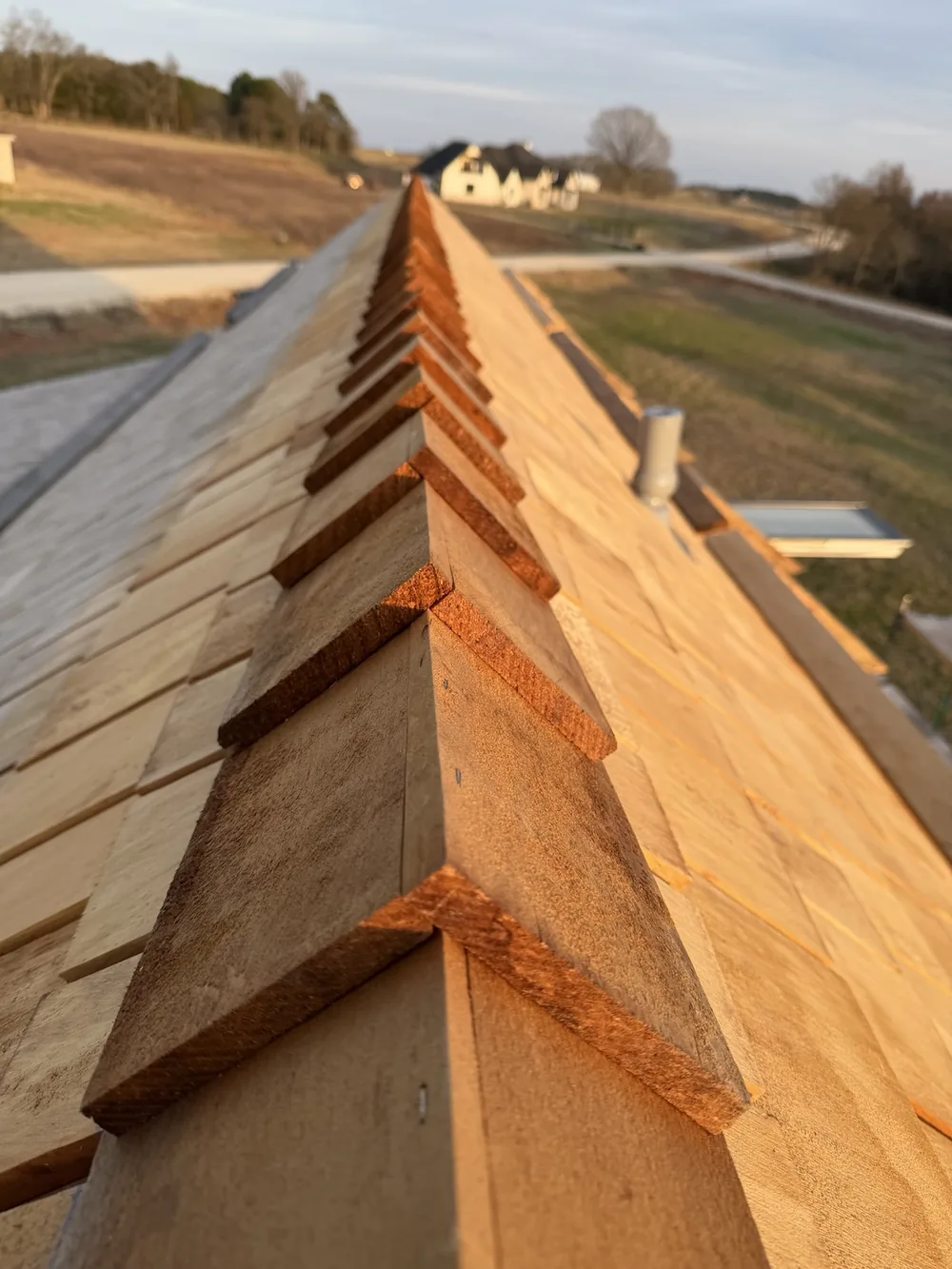 Cedar ridge cap detail at golden hour